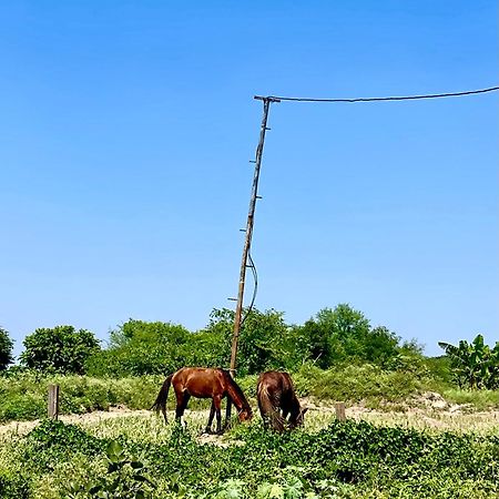 Tekri Farms And Retreat Hotel Ujjain Luaran gambar